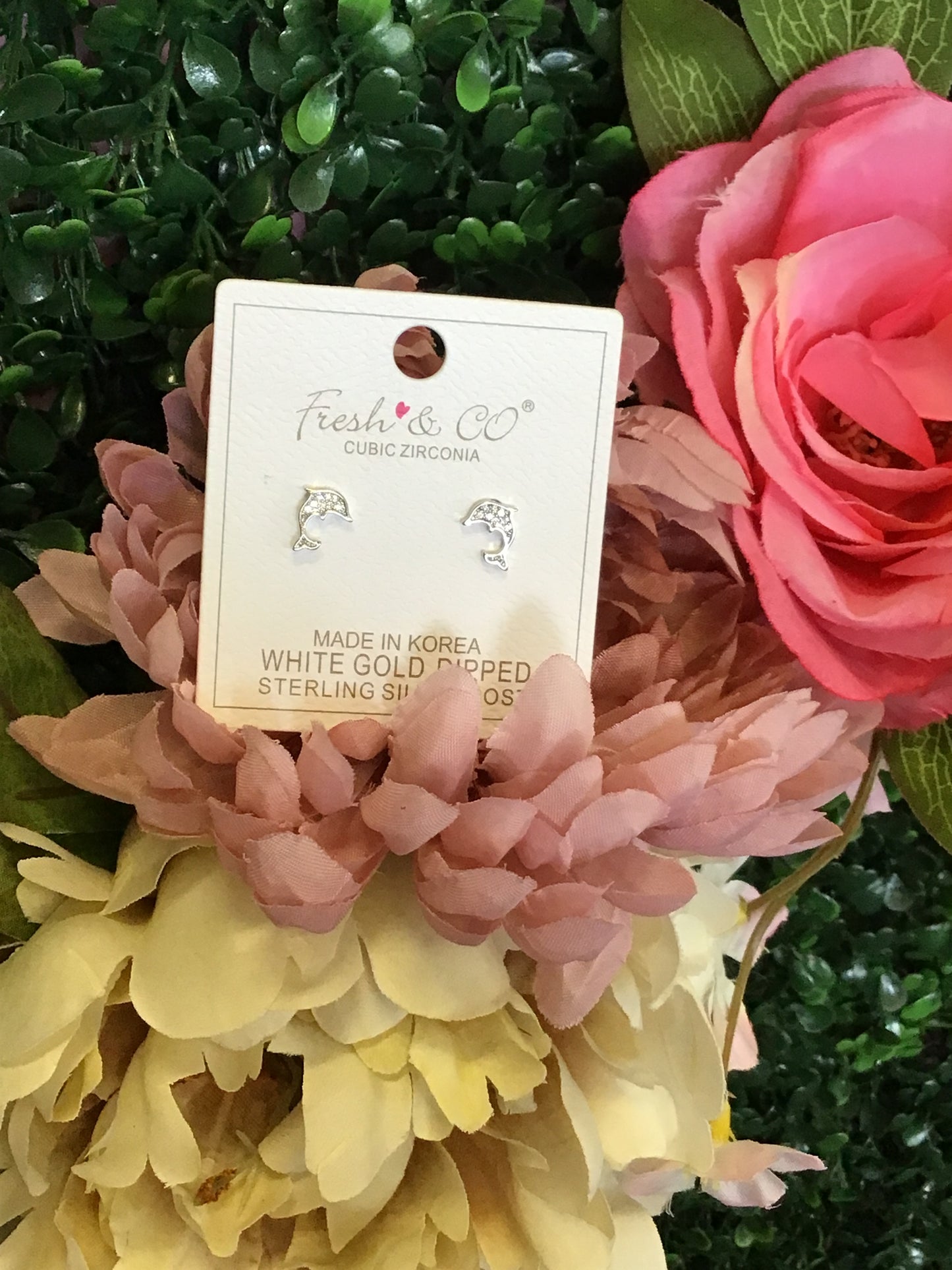 Aretes Delfín