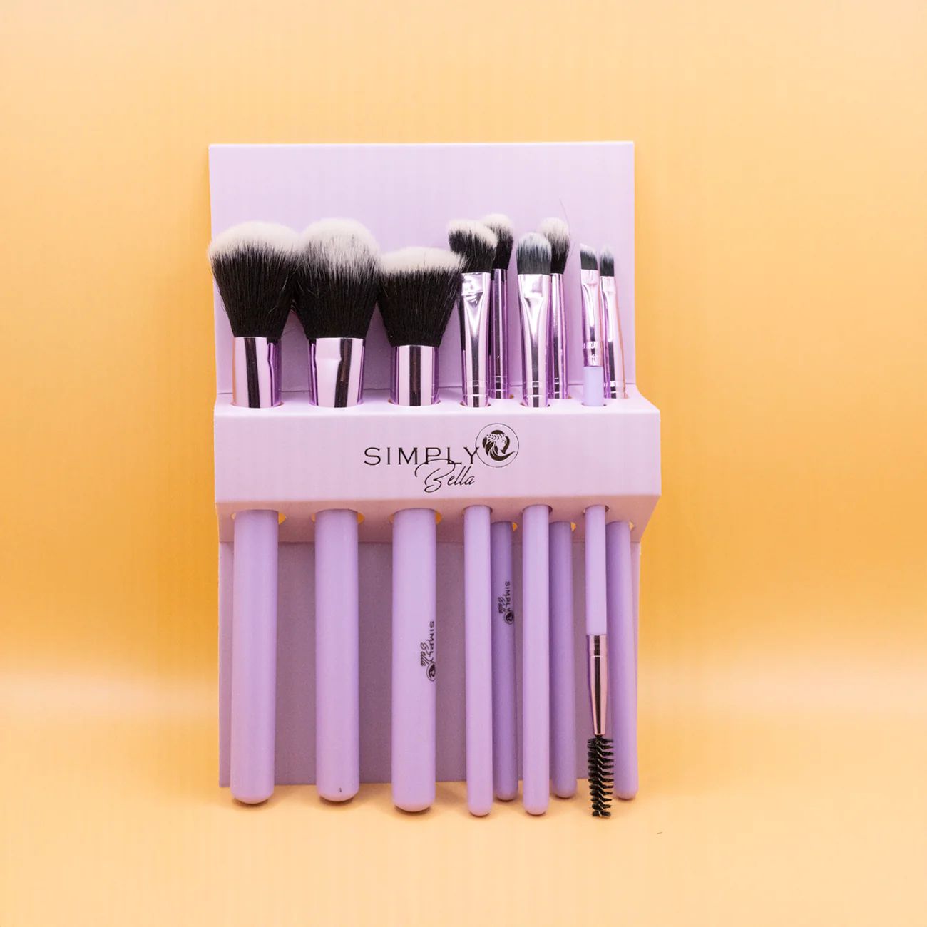 SET DE BROCHAS