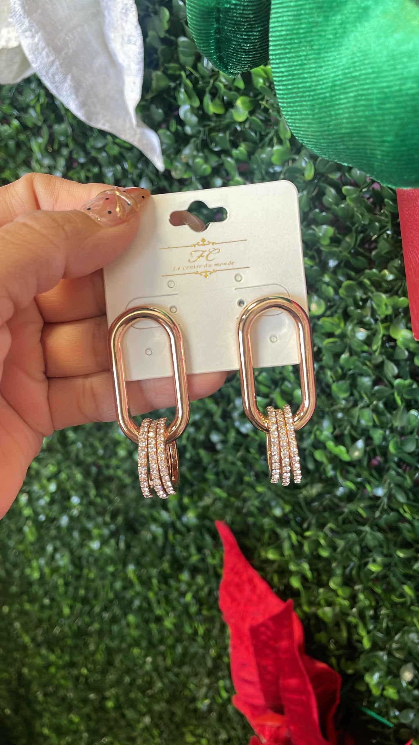 ARETES ARGOLLA DOBLE NOVIEMBRE